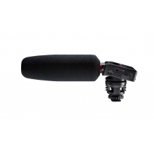 TASCAM - DR-10SG