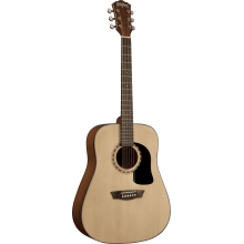 WASHBURN - AD5