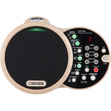 BOSS - DR-01S