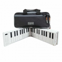CARRY-ON PIANO - CARRY ON 88 + BAG KIT