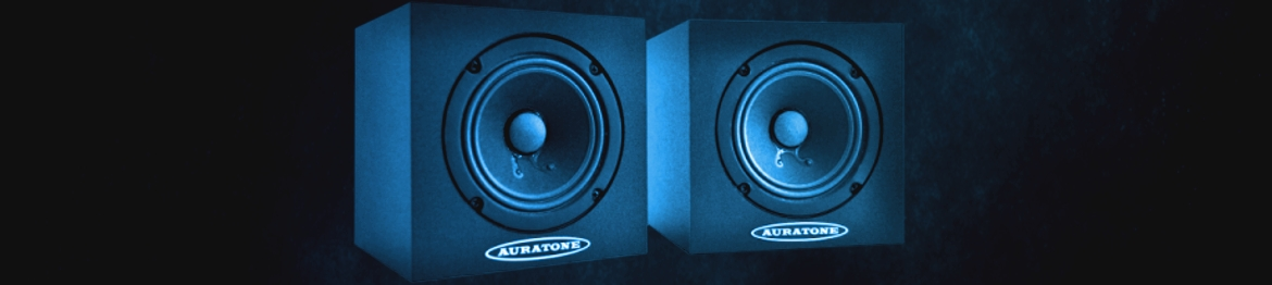 Passive Studio Monitor