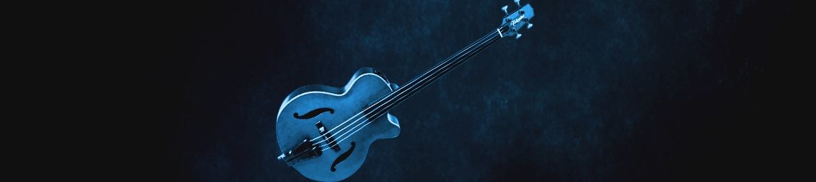 Acous­tic & Semi-Acous­tic Basses