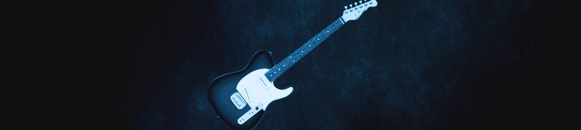 Guitares Electriques