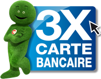 paiement CETELEM en 3 fois